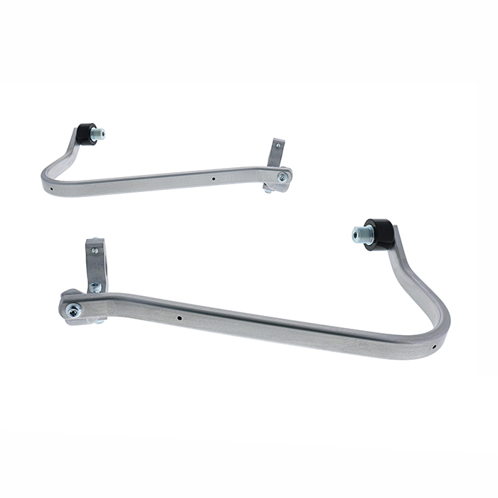 Daisy on the Ohoopee